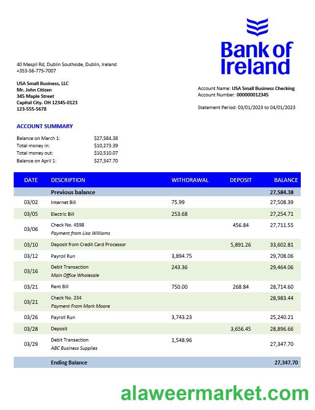 Bank of Ireland enterprise statement Word and PDF template